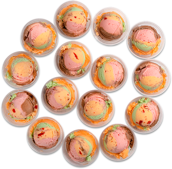 Rainbow Tasters
